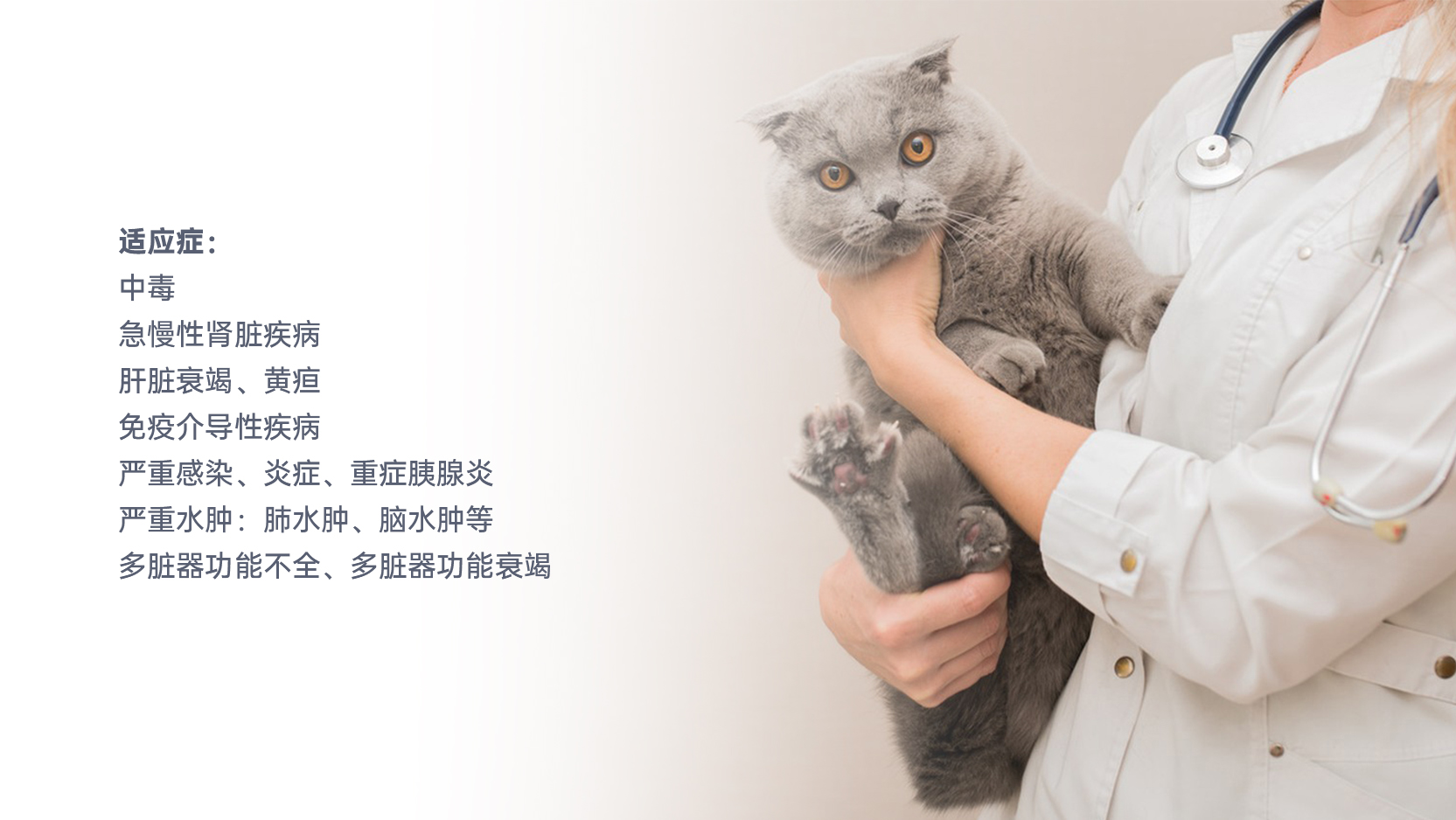 中国·365电子游戏(股份)有限公司-官方网站